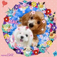 はまっこ@🐕🐩ポケモン愛好家🐶しばらく多忙 (@hamakko17) 's Twitter Profile Photo はまっこ@🐕🐩ポケモン愛好家🐶しばらく多忙 (@hamakko17) 's Twitter Profile Photo