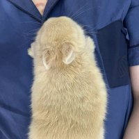 GCD (@gcd178) 's Twitter Profile