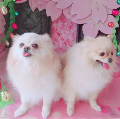 じょさんのプロフィール画像