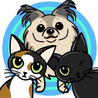 さんきゃっと🐕🐈⬛🐈🐾🐾… (@suncat8507) 's Twitter Profile