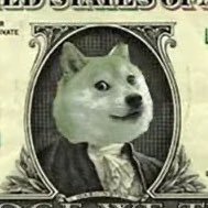 FeiMi_Y's profile picture. A fking retarded $BTC