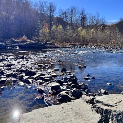 Dommi_world's profile picture. 