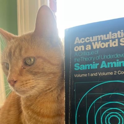 ontoenroy's profile picture. he/him🇵🇸