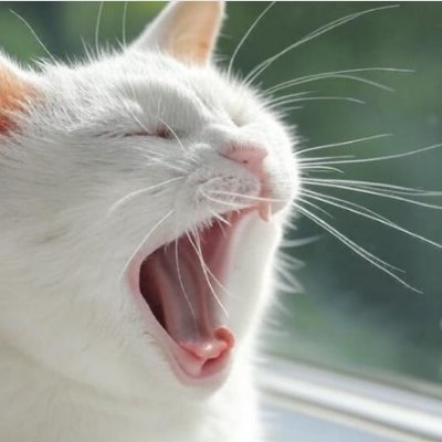 ryullllg Profile Picture