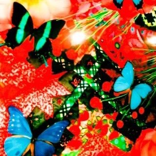 camp76569's profile picture. 20歳↑ 今日を生き抜く