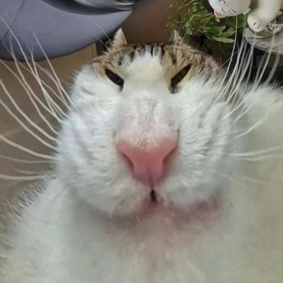 not hereさんのプロフィール画像