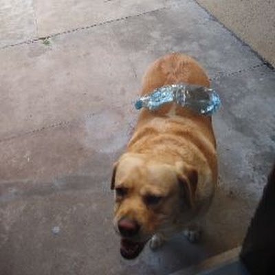 TeoOtt's profile picture. 