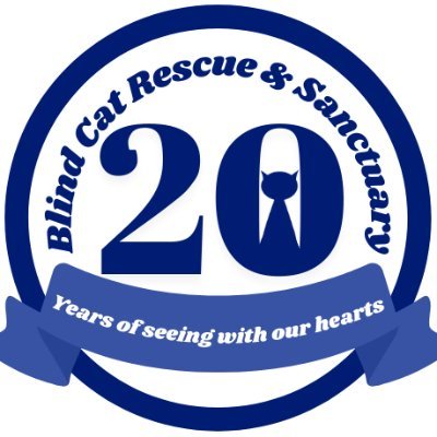 Blind Cat Rescueさんのプロフィール画像