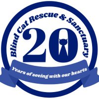 Blind Cat Rescue (@blindcatrescue) 's Twitter Profile Photo