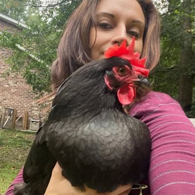 My Family is My World
Chicken Lover, Baker.
Mom to 12 happy hens
RIP Coco 3-27-23
RIP Bella 6-24-24.