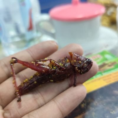 uki_awan's profile picture. semarang