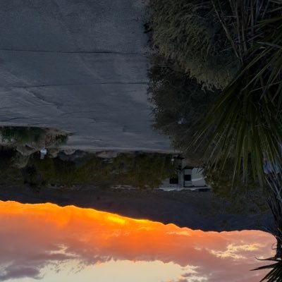 MyXEdge's profile picture. 