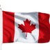 Canadian Forever 🟧🇺🇦 (@debhoggeroo) Twitter profile photo Canadian Forever 🟧🇺🇦 (@debhoggeroo) Twitter profile photo