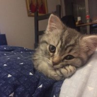 Jenn (@longtermjenn) 's Twitter Profile
