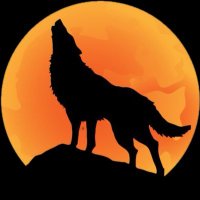 Blohw (@blohw) 's Twitter Profile Photo