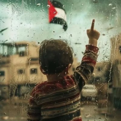 gungor_bekir's profile picture. 