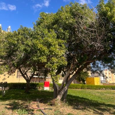 abw_yyss's profile picture. 