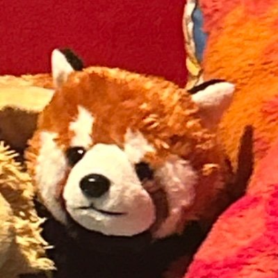 kyさんのプロフィール画像