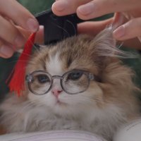 冷风️追影 (@lenfengzhuiying) 's Twitter Profile