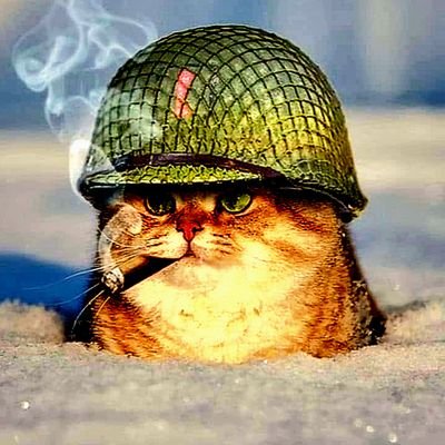 Eternalvig61306's profile picture. Stay frosty, fren