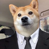 crypto NFt (@nft_crypto78366) 's Twitter Profile