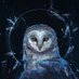 Tulu the owl 🌙 (@axlewaterphenix) Twitter profile photo Tulu the owl 🌙 (@axlewaterphenix) Twitter profile photo