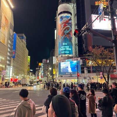 btexorg's profile picture.