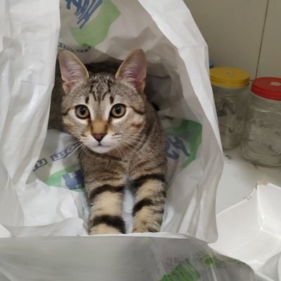 DeMafri's profile picture. 