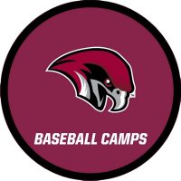 Noke Baseball Camps (@roanokebsbcamps) 's Twitter Profile Photo Noke Baseball Camps (@roanokebsbcamps) 's Twitter Profile Photo