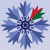 OLD / INACTIVE account of the Embassy of Belarus / Permanent Mission of Belarus in Vienna
NEW account at @BelarusVienna
