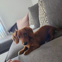 KohJay (@kohjayr6) 's Twitter Profile