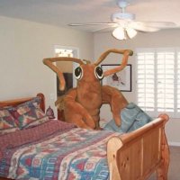 Tershell Lawbontus (@lawbontus) 's Twitter Profile Photo