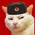 Maurer (@almdudler676) Twitter profile photo Maurer (@almdudler676) Twitter profile photo
