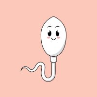 CUMCOINOFSOL (@cumcoinofsol) 's Twitter Profile