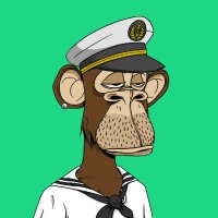 boostbilly (@theapebilly) 's Twitter Profile Photo