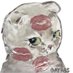 ุฑุงู
ูุง (@itsramamhm) Twitter profile photo ุฑุงู
ูุง (@itsramamhm) Twitter profile photo