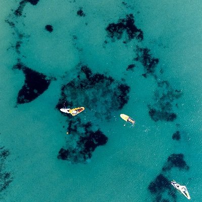 realamotzyagev's profile picture. ---+++---