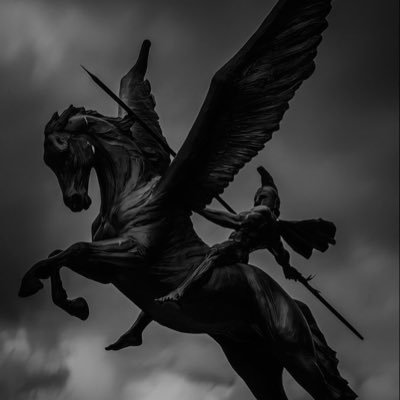 Testimo31338957's profile picture. Comedian