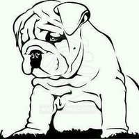 Sevillano (@tonigavidia) 's Twitter Profile Photo