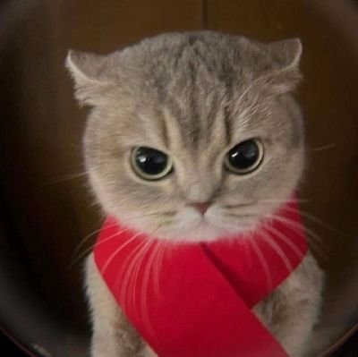 caglosi's profile picture. isyan,devrim,beşiktaş