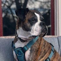 Sandy (@tulsayyy) 's Twitter Profile