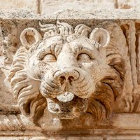 wissam kam (@samokamolb) 's Twitter Profile Photo