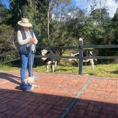 KeithBrinez's profile picture. 