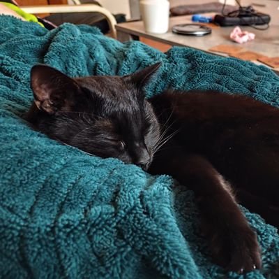 leinad8510's profile picture. 