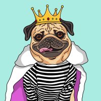 Doug the pugs world (@dougthepugssol) 's Twitter Profile Photo Doug the pugs world (@dougthepugssol) 's Twitter Profile Photo