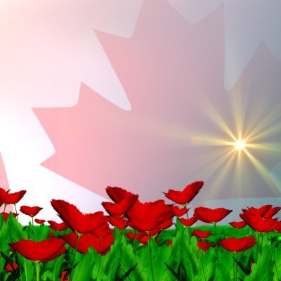 🍁 Canada has a #UniParty
🍁 I follow people worldwide to bypass FakeNews
🍁 Interested in Geopolitical | Financial news
#PPC #MaxBernier #Trump