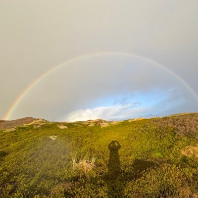 micha33357's profile picture. 