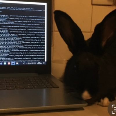 0x40saoirse's profile picture. C/C++ JavaScript React Nodejs Solidity Rust Python