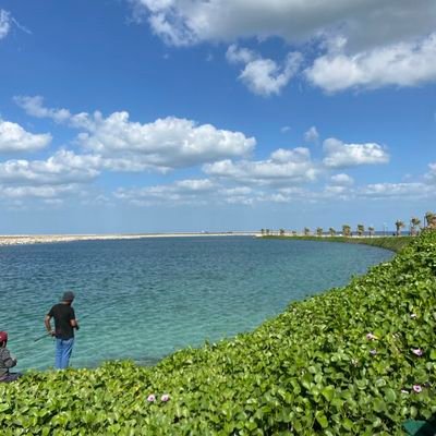 thetrustworthy0's profile picture. Serial Entrepreneur ◽Cyber security Analyst ◽Warrior 🪖