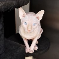 macaba (@macaba_72) 's Twitter Profile Photo macaba (@macaba_72) 's Twitter Profile Photo